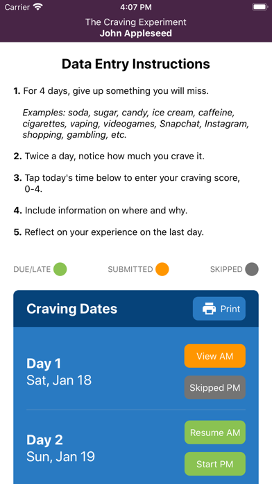 The Craving Experiment Screenshot