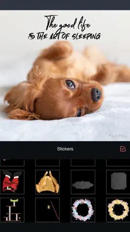 Game screenshot Paw Pics hack