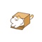-Please put the cat to fit the size of the box