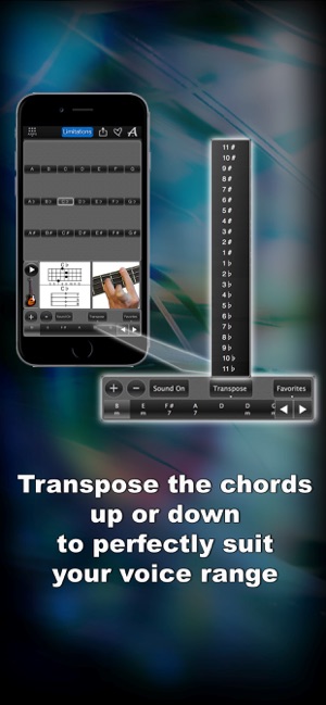 Bass Chords Lite LR(圖3)-速報App