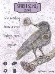 spiritsong tarot айпад изображения 1