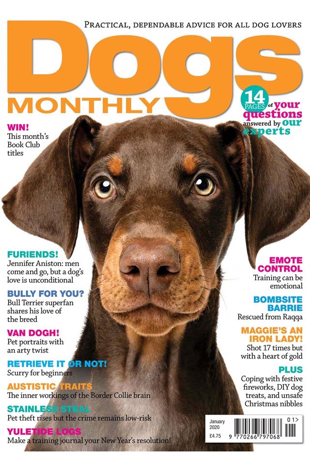 Dogs Monthly Magazine screenshot 3