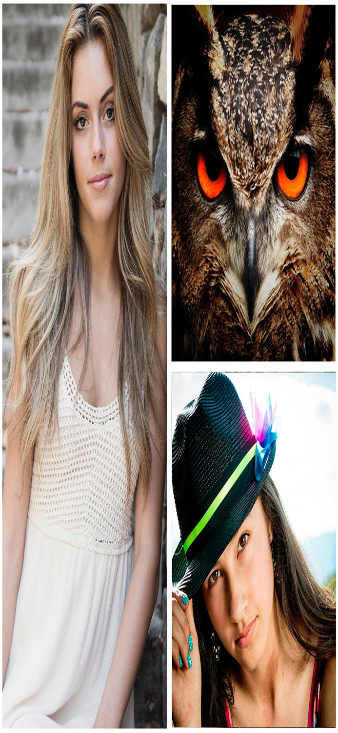 Collage Maker Editor PRO