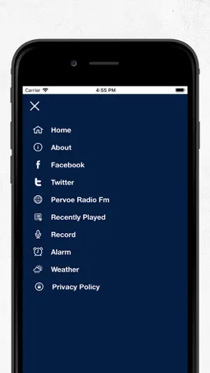 Pervoe Radio FM screenshot 3