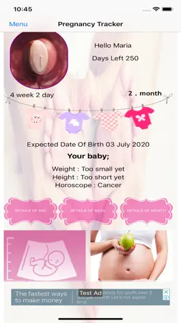 Game screenshot Day by Day Pregnancy Tracker mod apk