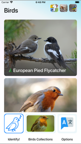 Bird Song/Photo Identification screenshot