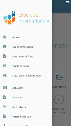 Expertise Internationale screenshot 2