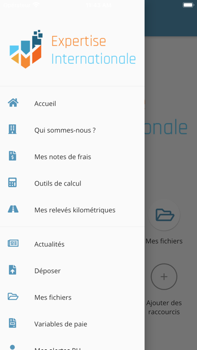 Expertise Internationale Screenshot