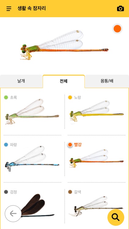 생활 속 곤충 찾기 screenshot-5