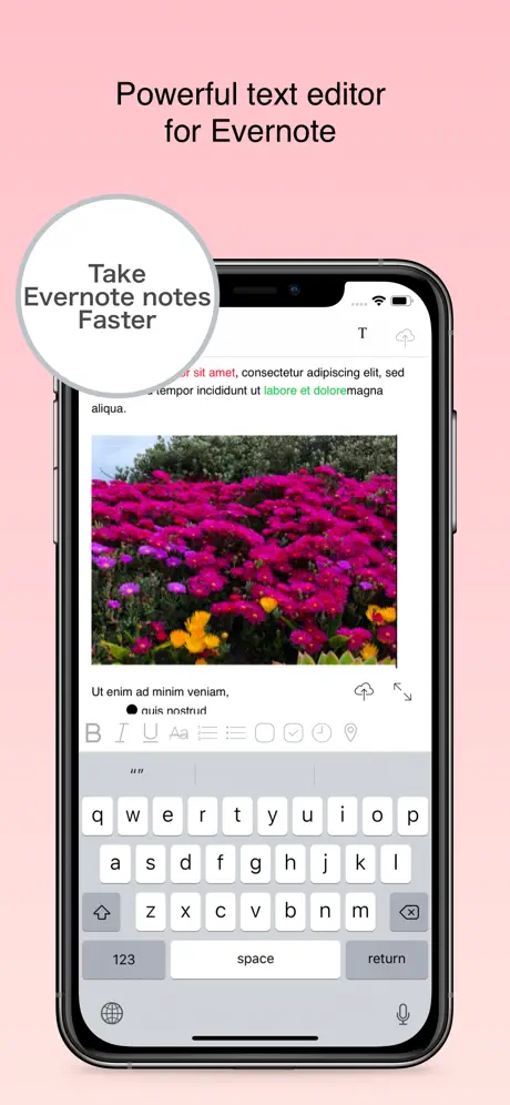 EverEditor
