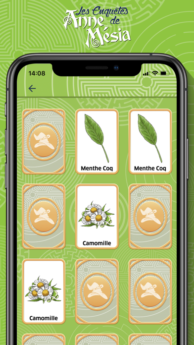 Les Enquêtes de Anne Mésia screenshot 3