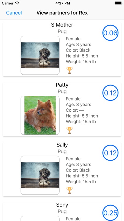 Purebred screenshot-5