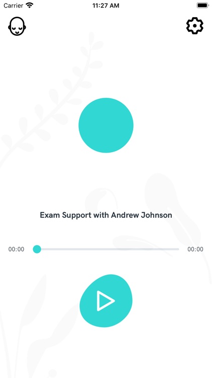 Exam Support with AJ