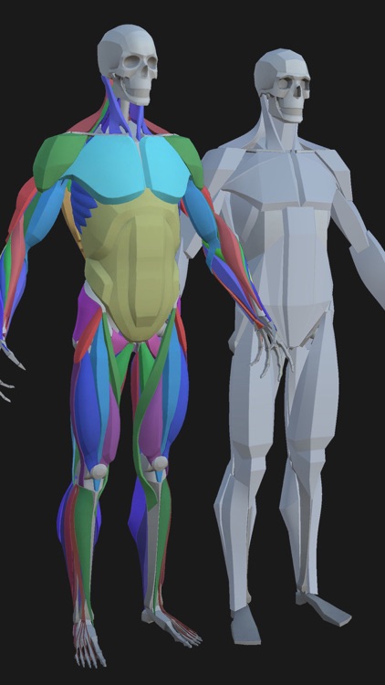 Artist's Anatomy screenshot-7