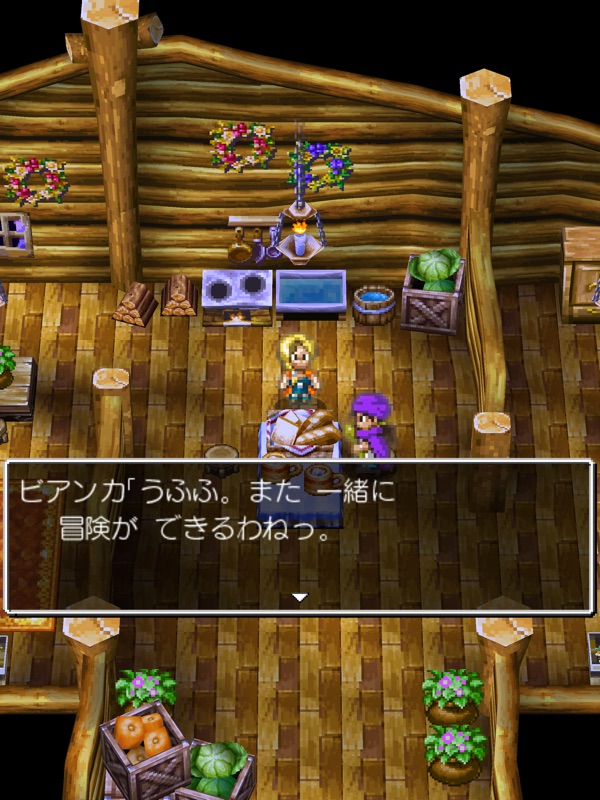 ドラゴンクエストV 天空の花嫁 screenshot 10