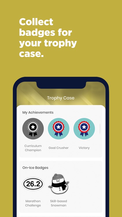 Learn To Skate USA screenshot-3