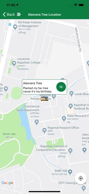 Treephillia(圖4)-速報App