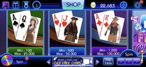 Blackjack-black jack 21 casino screenshot #2 for iPhone