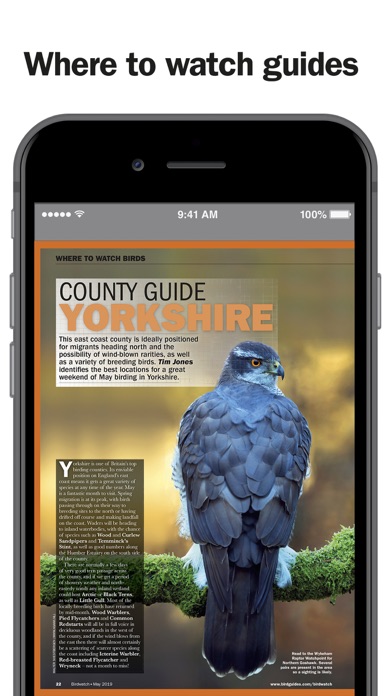 Birdwatch Magazine Screenshot