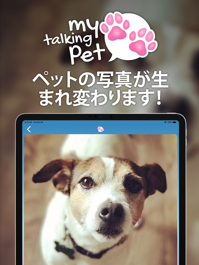 おしゃべりペット Pro Screenshot