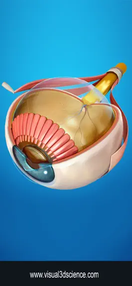 Game screenshot My Eye Anatomy mod apk
