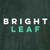 Brightleaf - pour PC