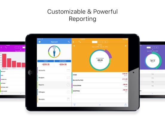 iXpenseIt Pro iPad app afbeelding 4