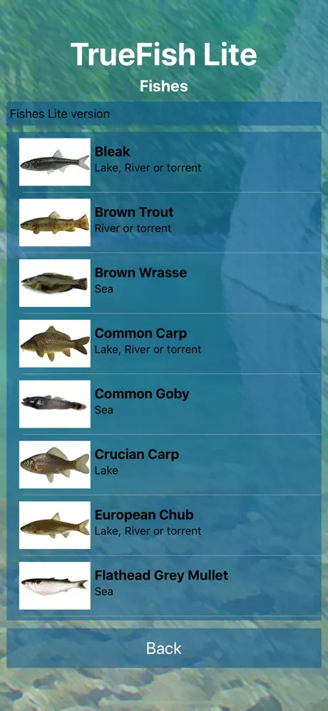TrueFish Lite