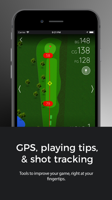 Langley Golf Centre Screenshot