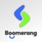 Icon Boomerang Drivers