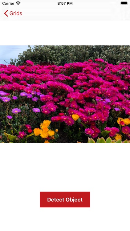 Grids For Insta Layout screenshot-3