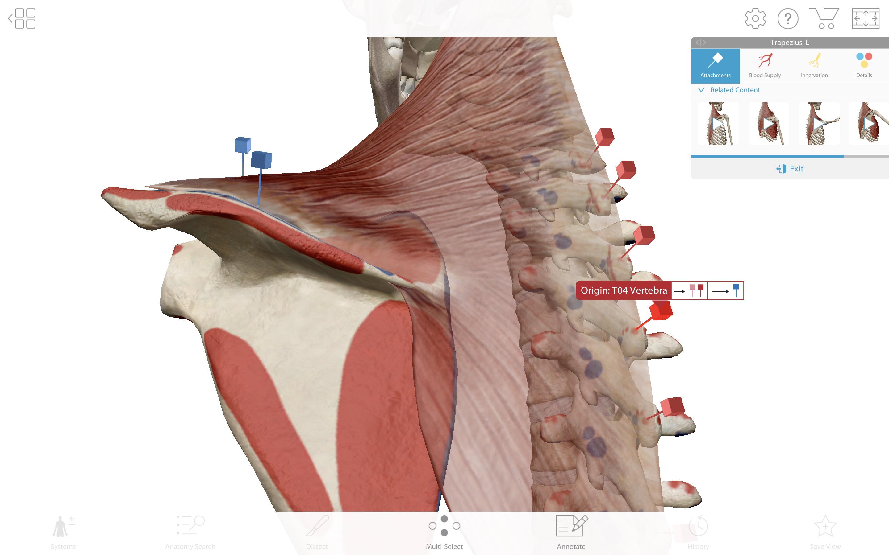 Screenshot do app Human Anatomy Atlas 2019