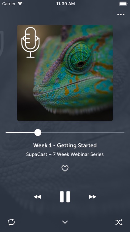 SupaCast screenshot-5