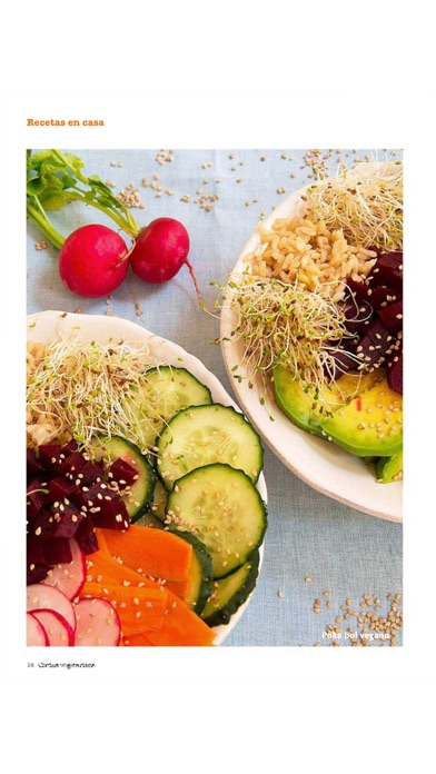 Cocina Vegetariana Screenshot