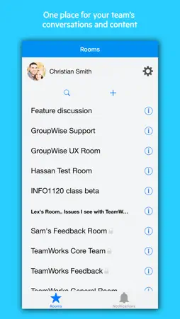Micro Focus TeamWorks screenshot 1