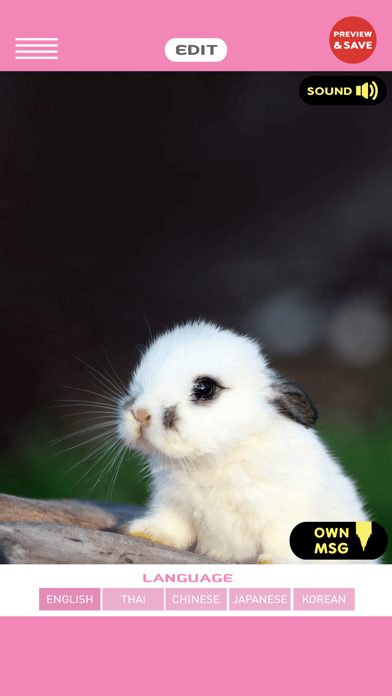 Screenshot #2 pour pet helps you