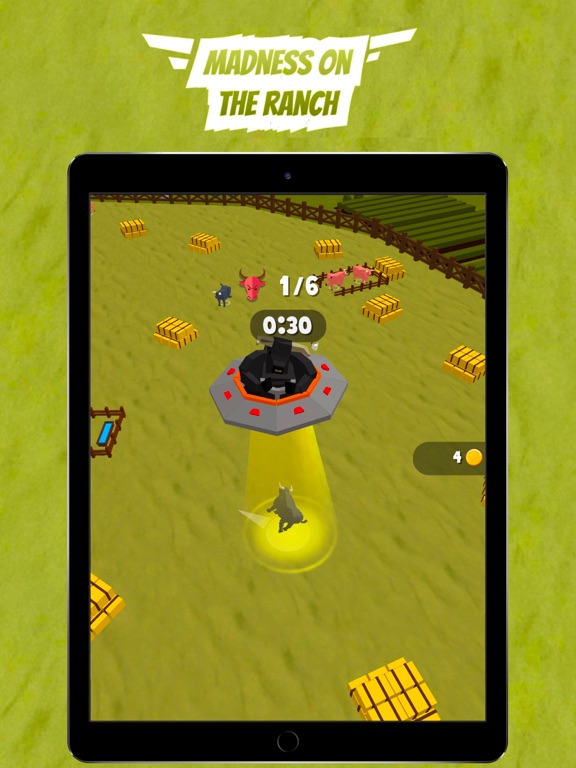 Bulls Rodeo: Escape Animals