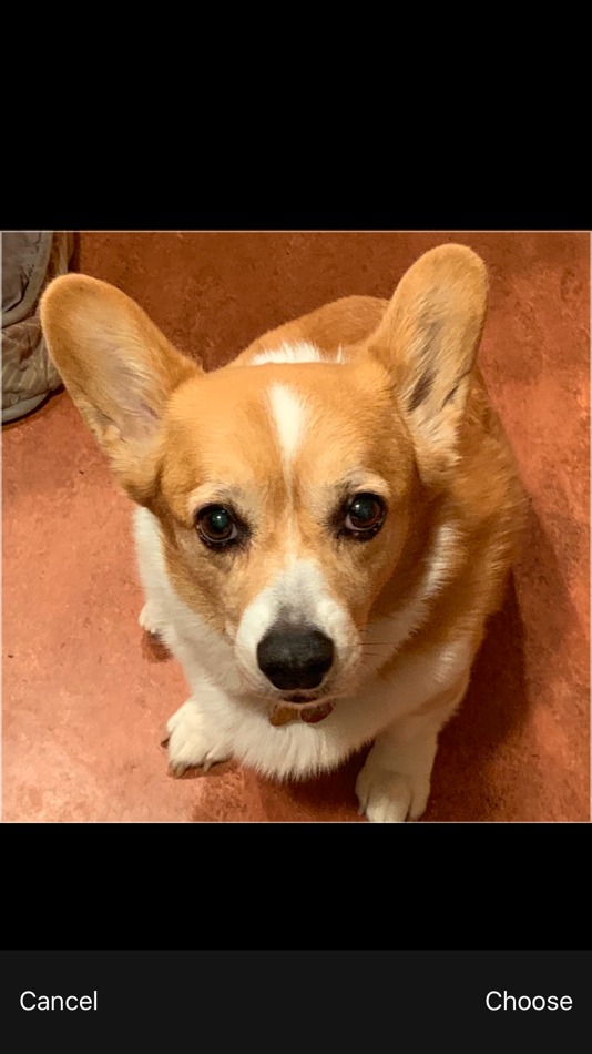 #4. Photo Slots (macOS) 来自: Lenco Software LLC