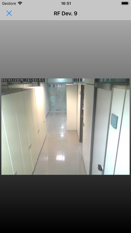 Alma Roma screenshot-3