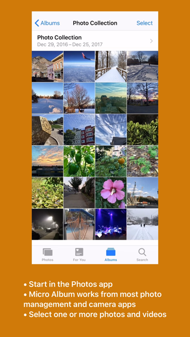 Screenshot #1 pour Micro Album