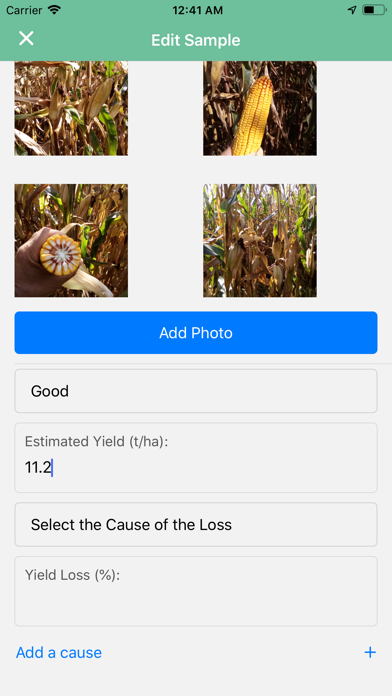 GreenTriangle Crop Assessment Screenshot