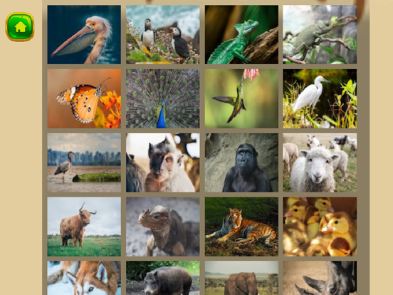 Screenshot #6 pour magic puzzle animal