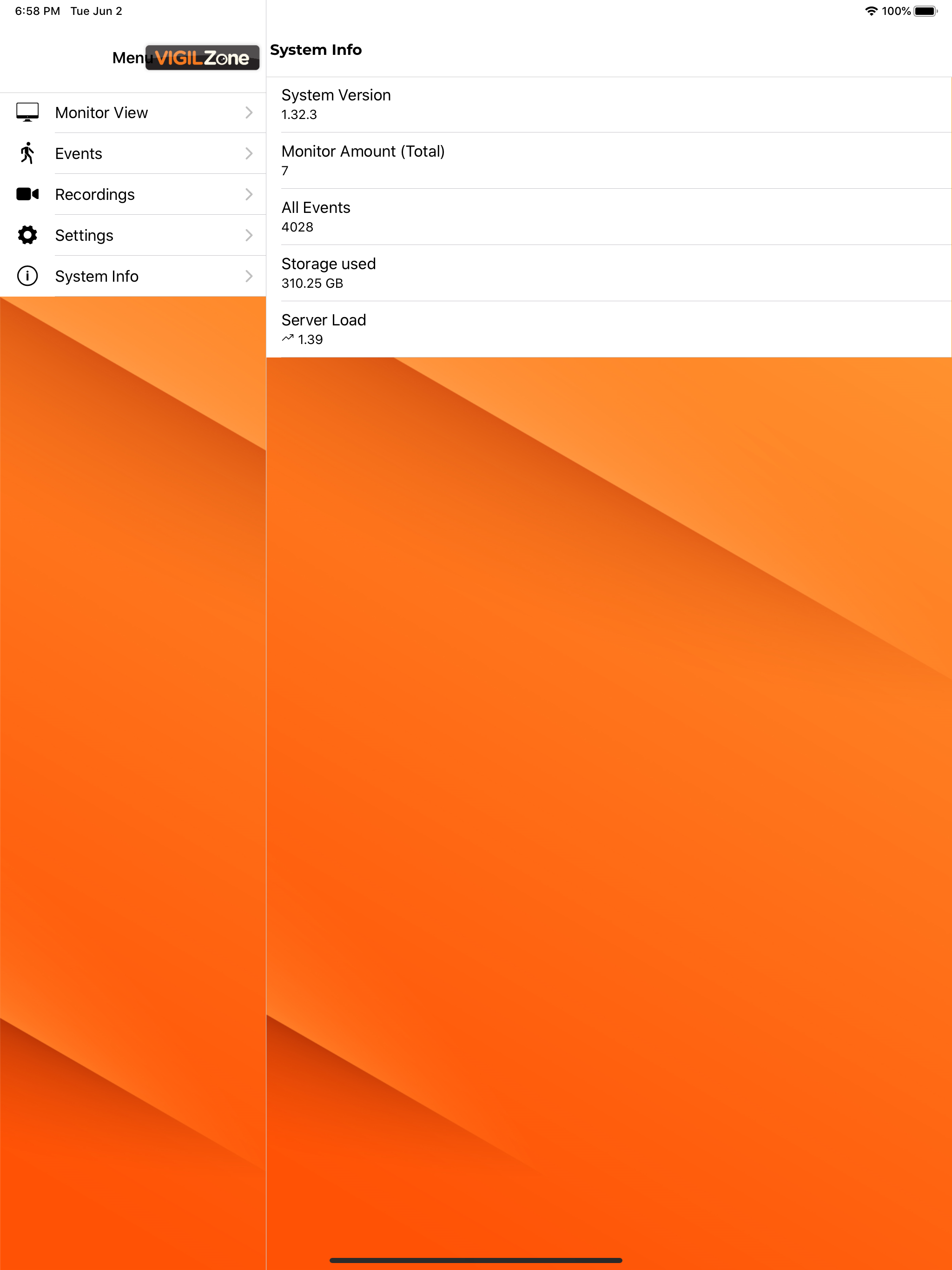 VigilZone Pro