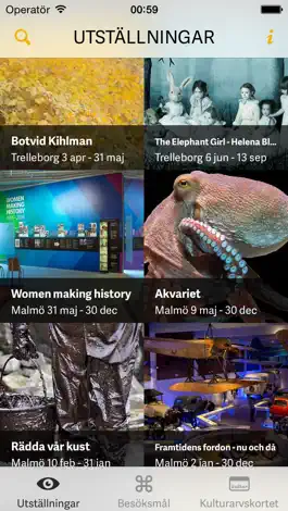 Game screenshot Svenskt Kulturarv mod apk
