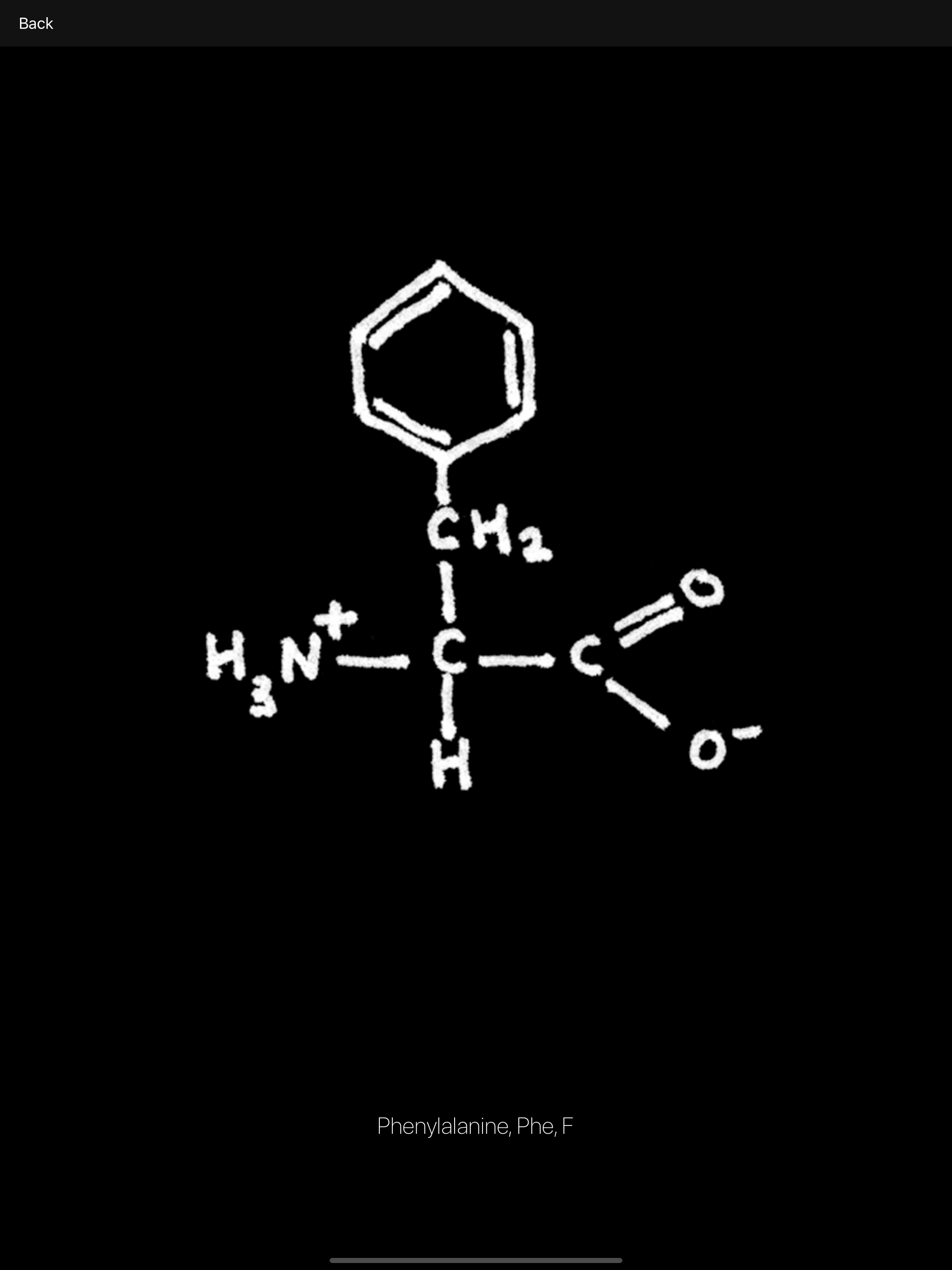 Amino Acid Academy