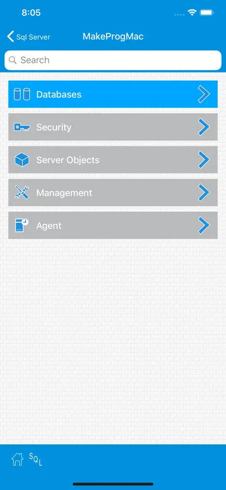 SqlWebProg2  Sql Server Client