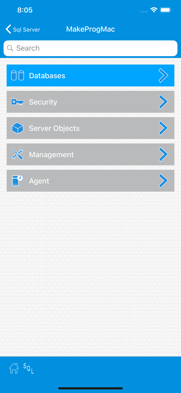 SqlWebProg2  Sql Server Client screenshot 3