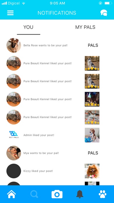 Pet Pals - Community for Pets screenshot 3