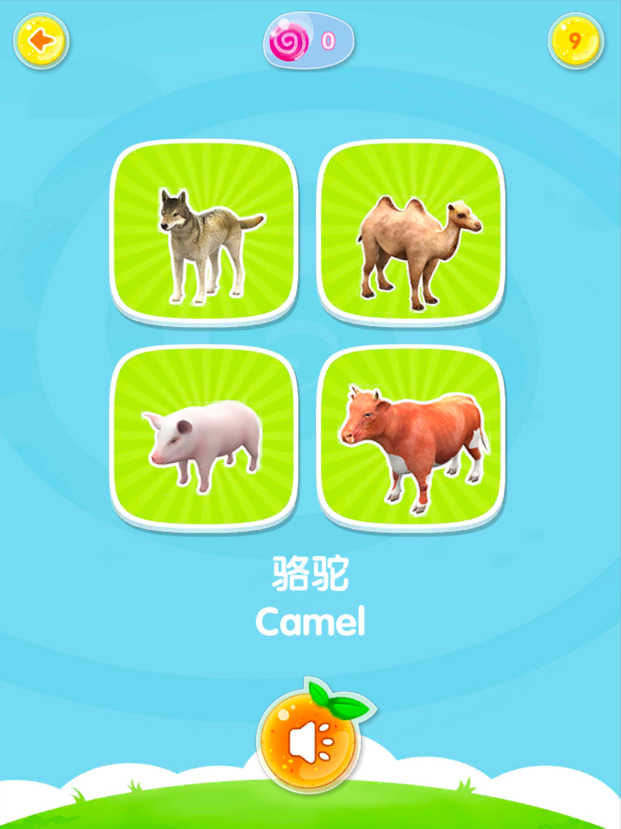 魔法动物园