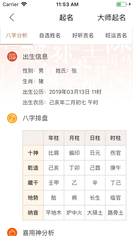 周易宝宝起名取名软件大全-群策起名